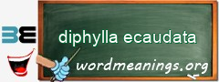 WordMeaning blackboard for diphylla ecaudata